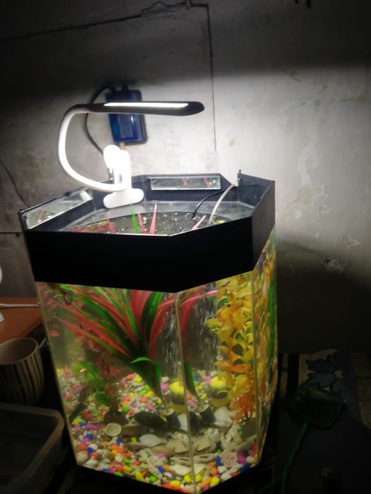 Продам аквариум на 30литров