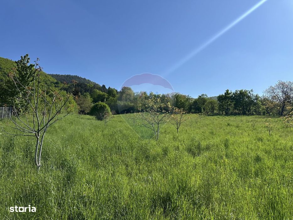 Teren 1,000mp Bistrita / Strada Plopusor