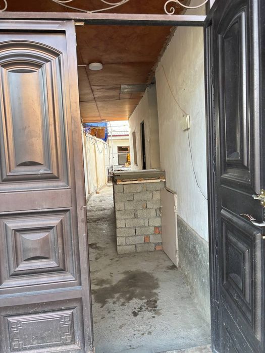 Срочна учаска сотилади қибрай майиский