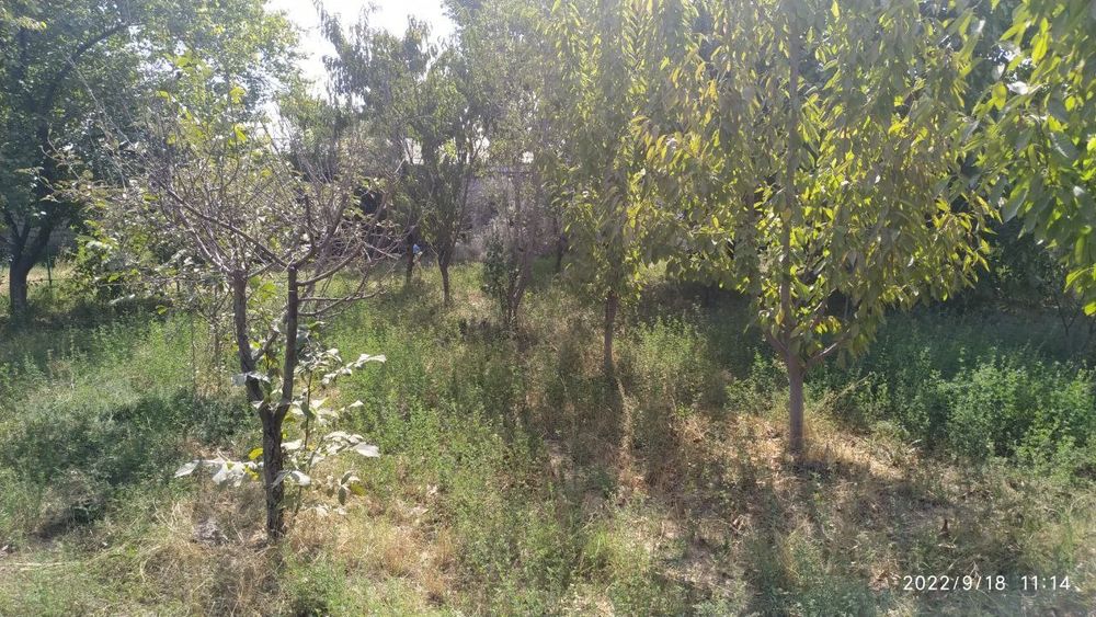 Продается дом 16 соток