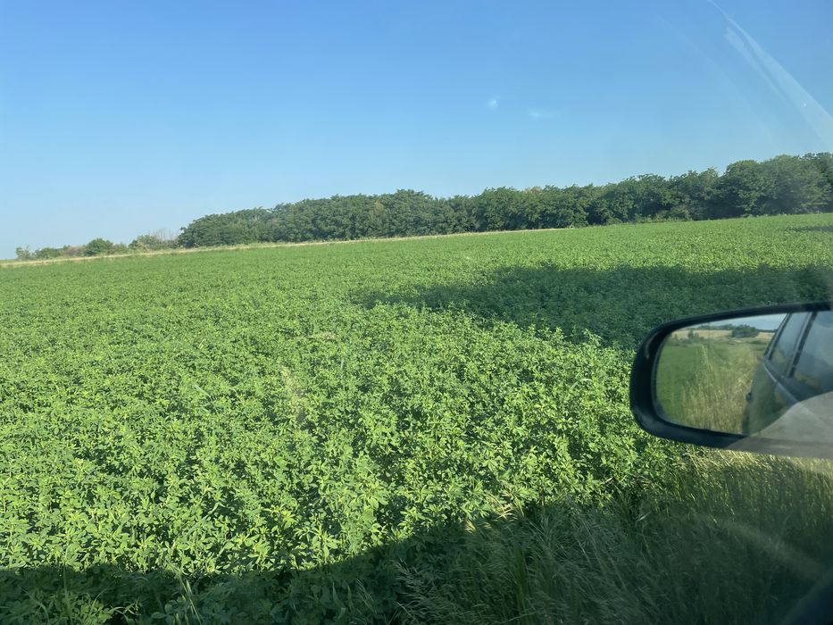 Бали люцерна, овес смески със грах сено