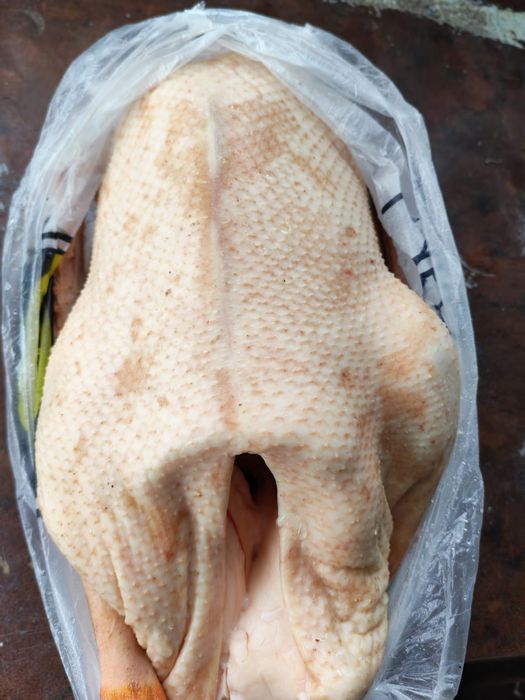 Продам мясо гуся