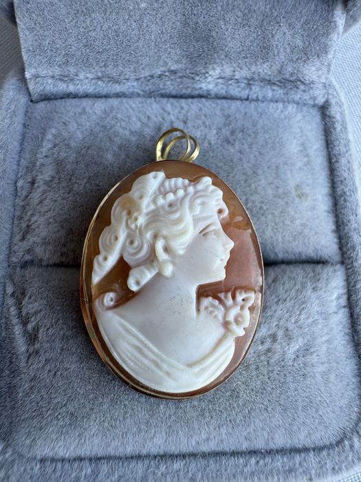 Brosa/pandantiv din aur si camee