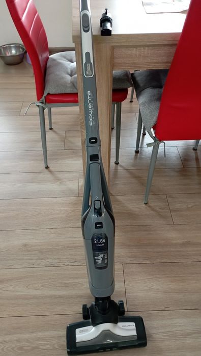 Aspirator vertical Rowenta