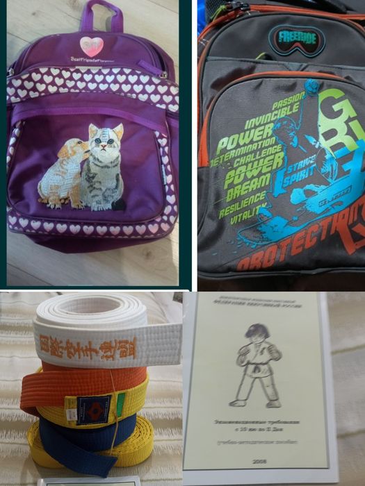 Пояс для карате дзюдо ,Рюкзак, кукла магнум Юг