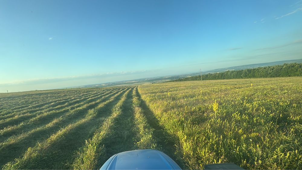 Baloti fan si lucerna