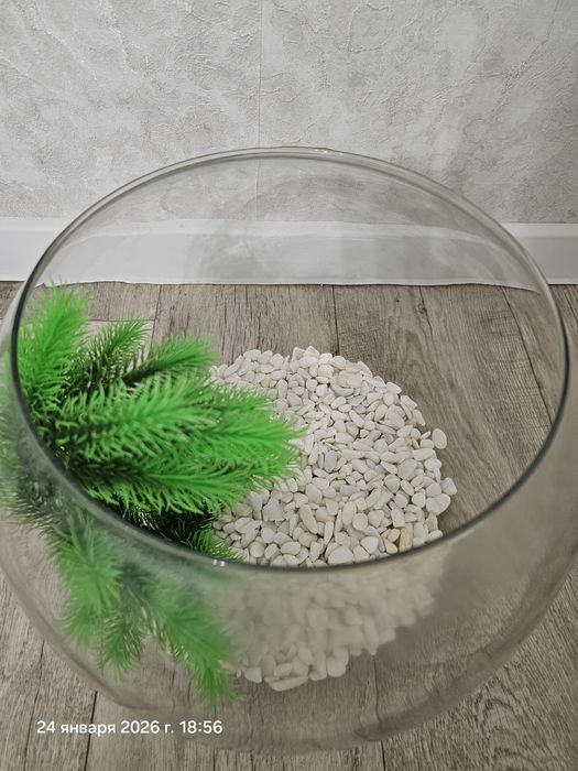 Продам аквариум круглый.