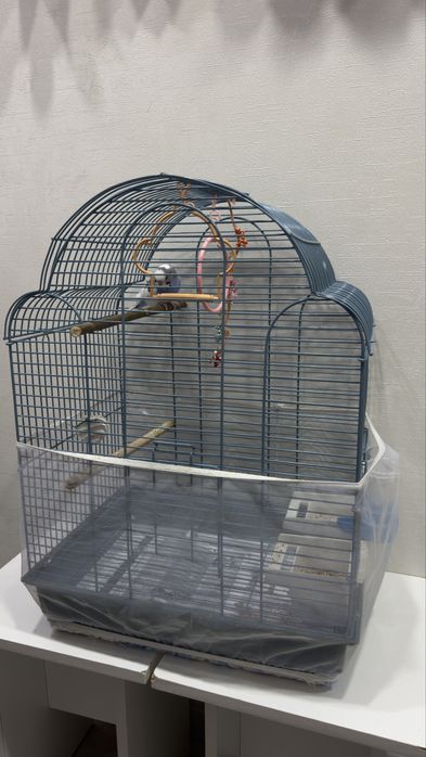 Попугай с клеткой