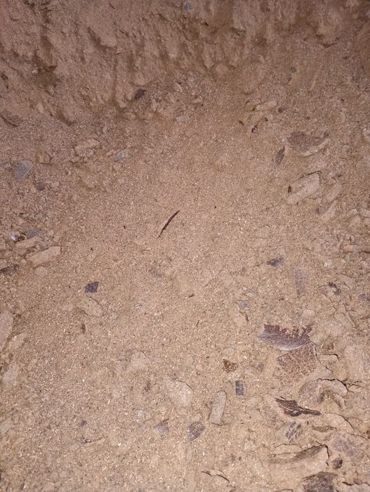 Șrot de floarea soarelui proteina 36%