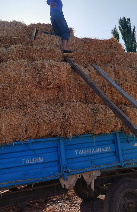 Pres sotiladi Somon, Tariq, Beda, Makka.