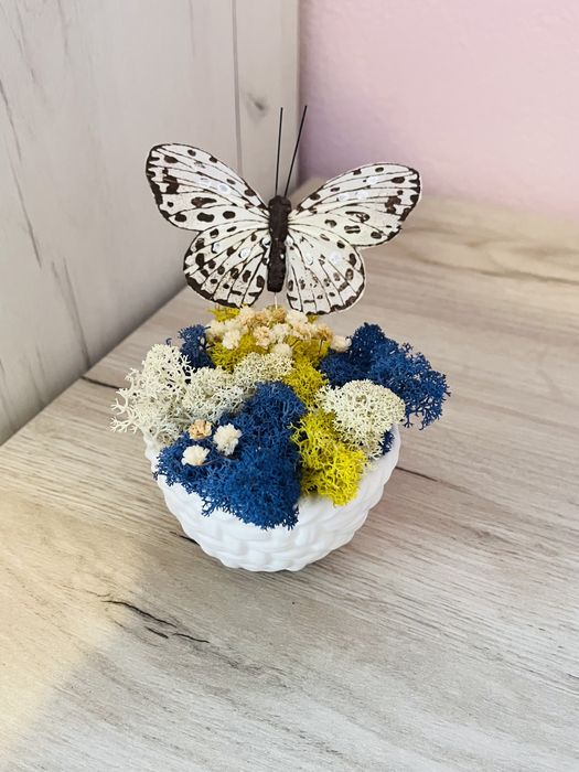 Кашпи със скандинавски мъх