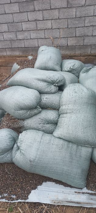 Мити қаппен Түркістан