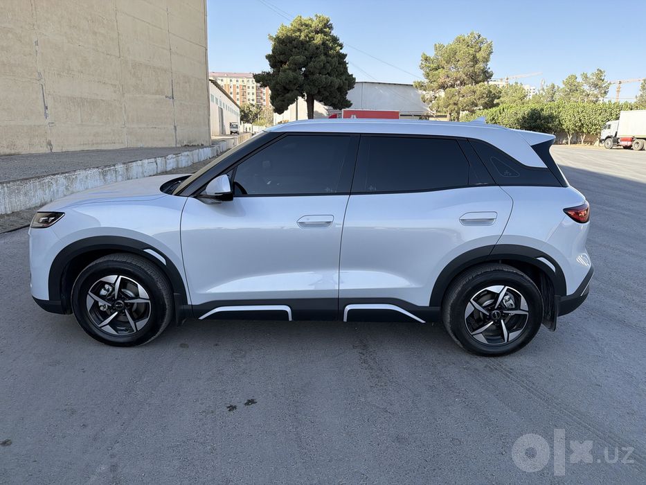 BYD Yuan Up 401km Flagship