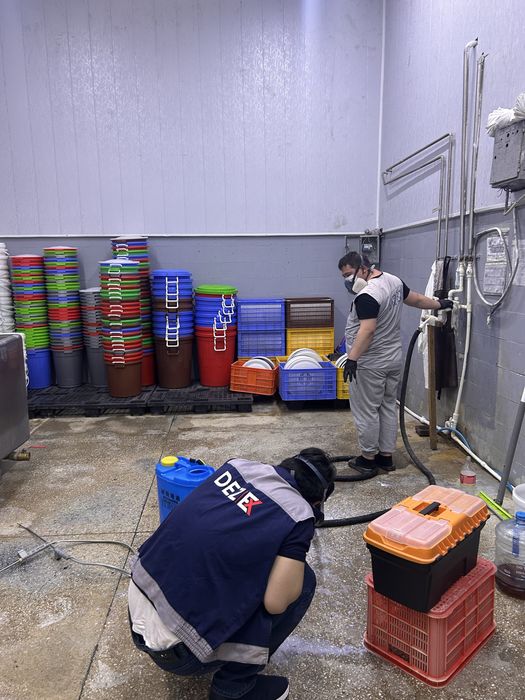 Dezinfeksiya дезинфекция 24/7 dizinfeksiya клапа таракан klapa tarakan