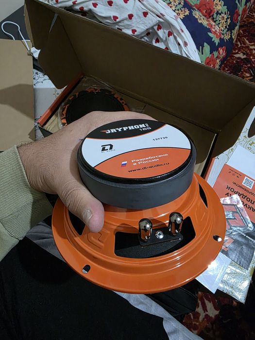 Dl audio Gryphon pro 165