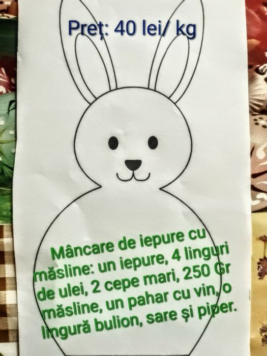 Iepuri de casă, rasele Fluture German și Hycole Francez