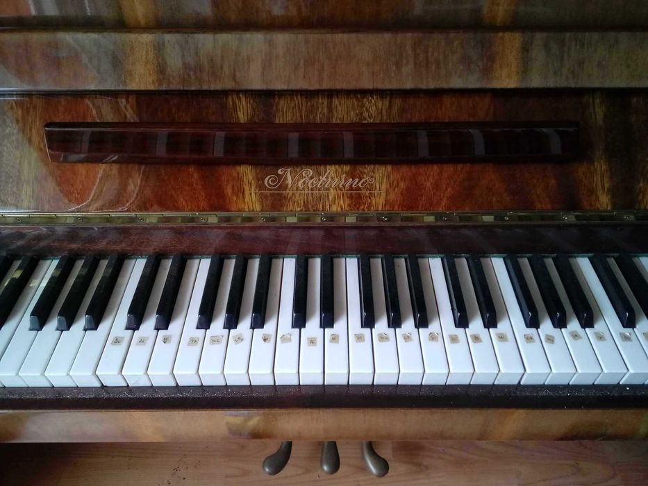 Vând pianină clasică, un instrument elegant cu sunet cald și plăcut.