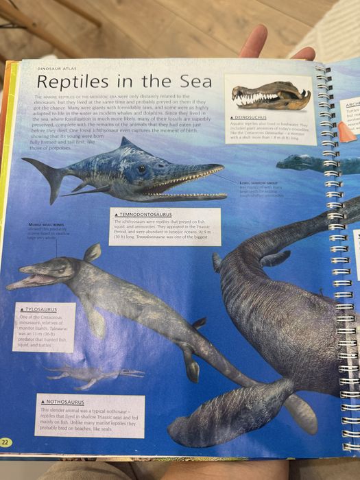 Книга на английском детская