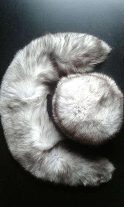 Caciula si guler vulpe polara