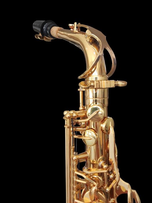 Set Saxofon Alto Parrot ZL118 Auriu