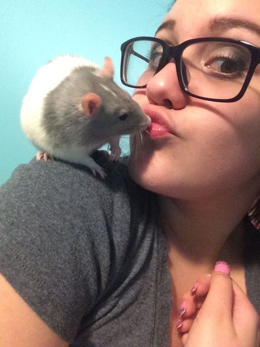 Vand sobolani de companie