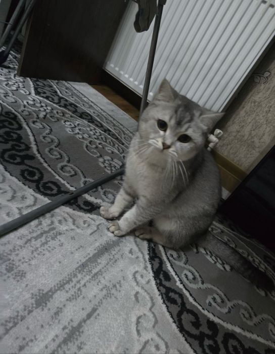 Vyazka xizmati Namangan