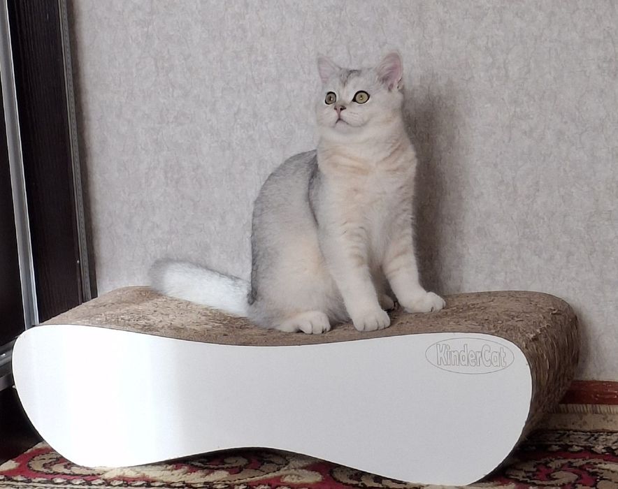 Vyaska xizmati Namangan vodiy