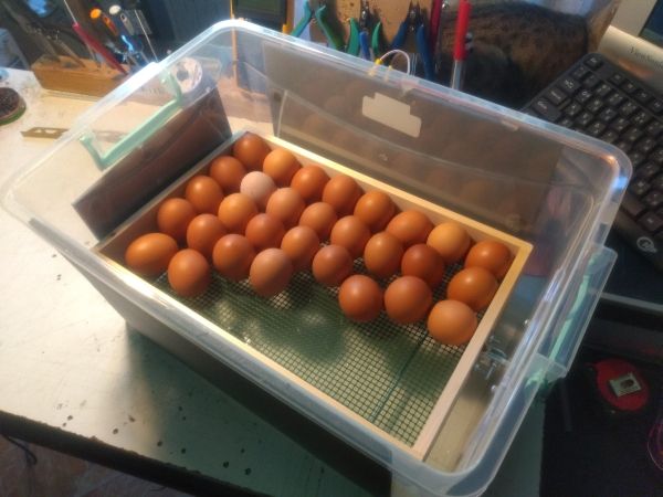 Инкубатори (български), автоматични,