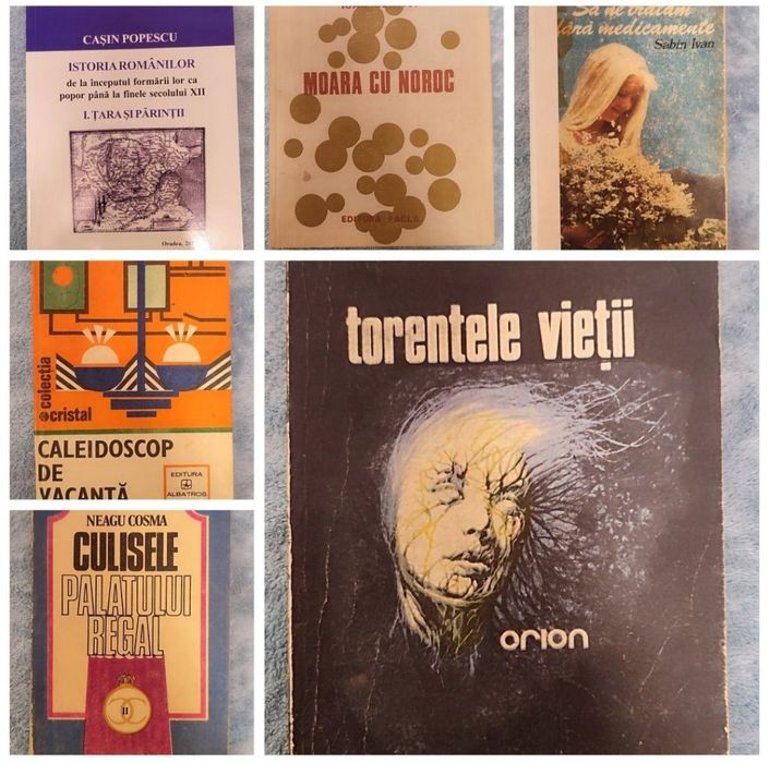 Lot carti de electronica si scriitori clasici romani