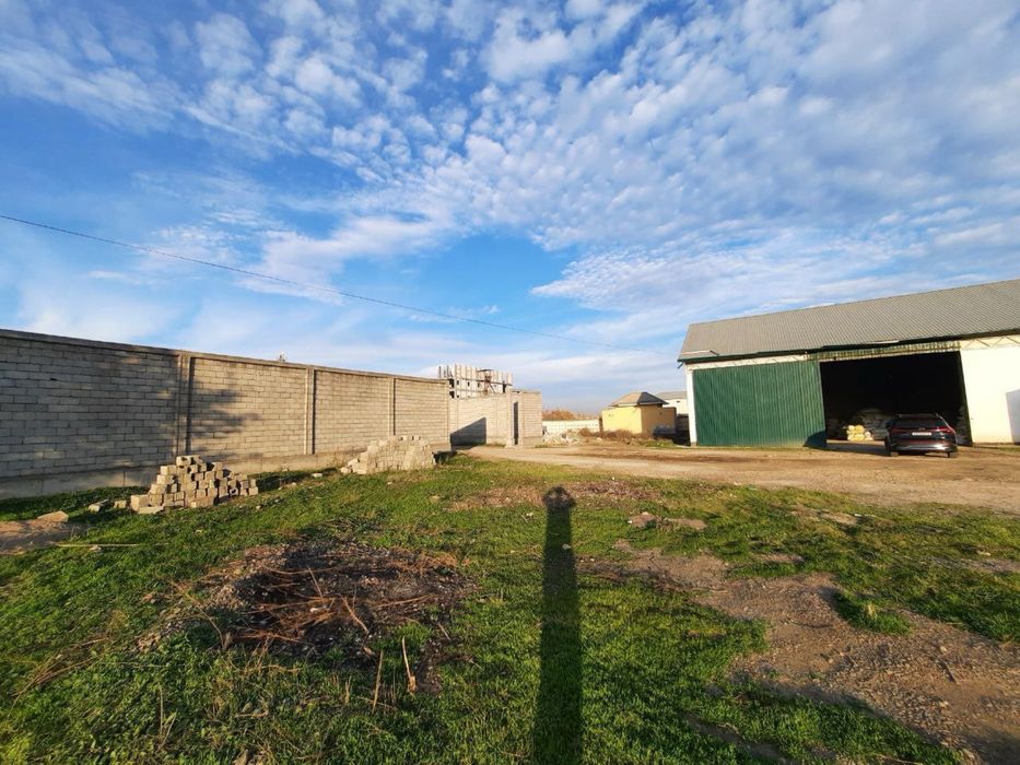 Продажа готового бизнеса по переработке бобовых культур (маш, фасоль)