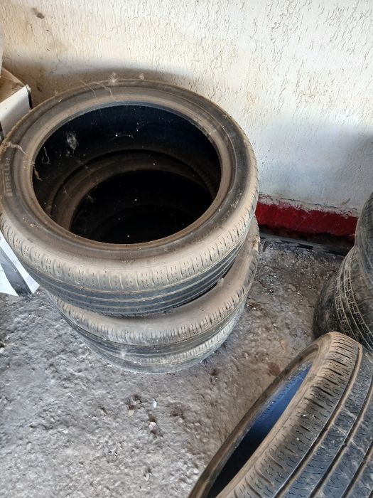 Жаздык донгелектер