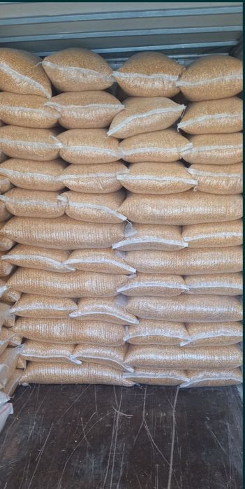 Porumb recoltă 2025  Amestec cereale ,hrană pt porumbei