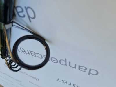 Lanseta Diamant Alb 3m Actiune: A: 200-300 gr pentru crap si somn