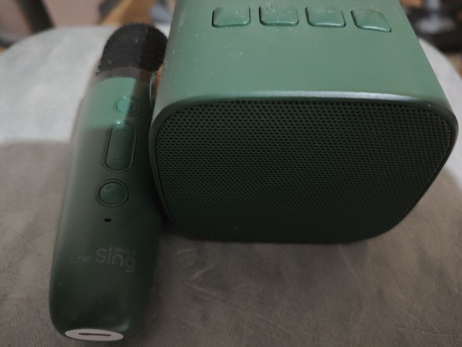 Колонка The Sing M46-T