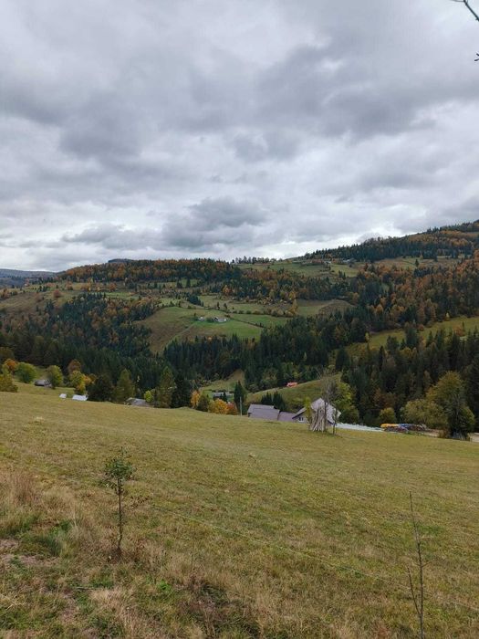 Teren în Arieșeni jud Alba