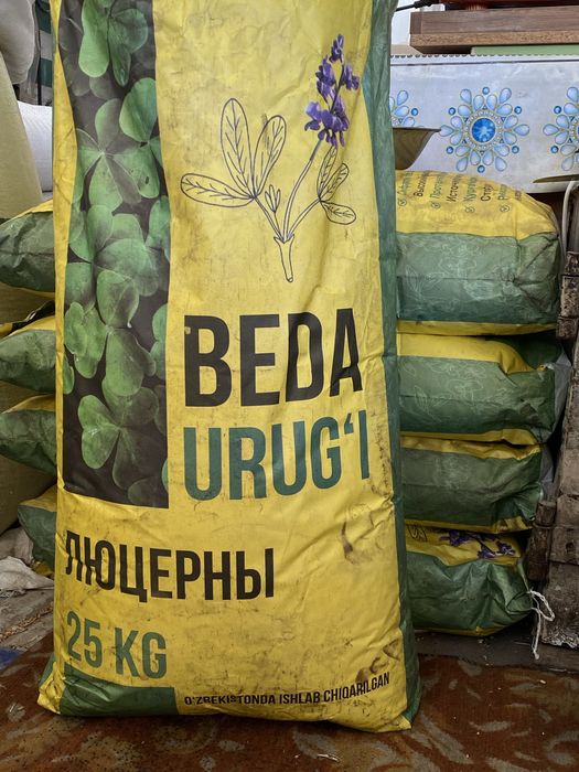 Beda urugi toshkent N1