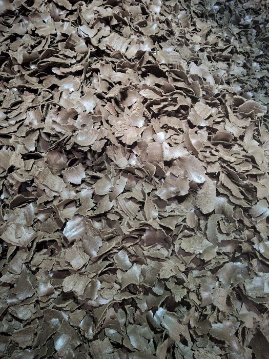 Пшеница.Платный чат!Все корма.