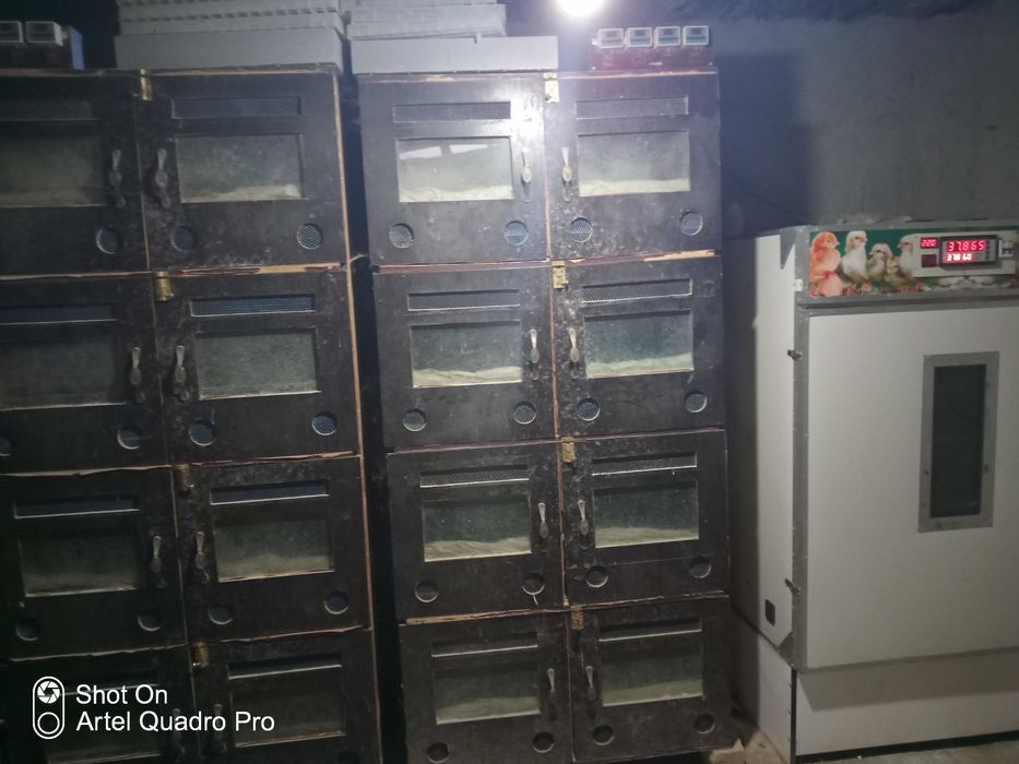 Инкубатор сотилади