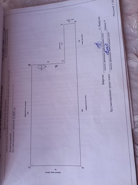 Уй жой томорка  сотилади.