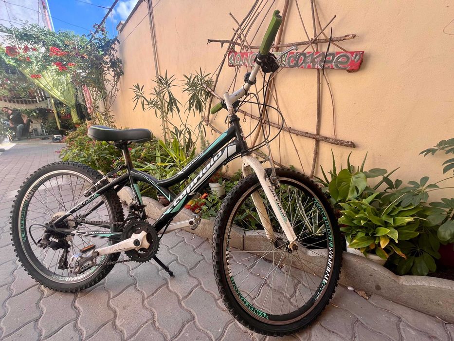 Bicicleta copii roti 24"