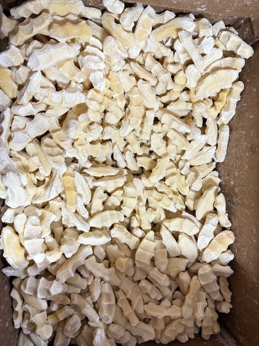 Курт домашный таза коспасыз