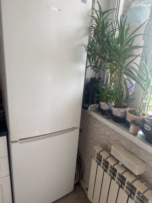 Холодильник Bosch