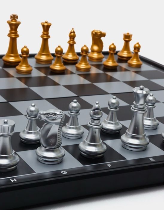 Шахматы магнитные