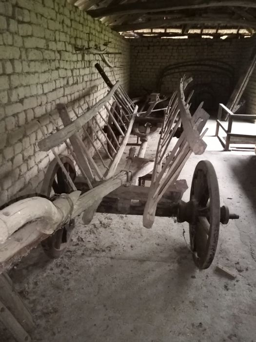 100 годишни, волска кола и шейна.