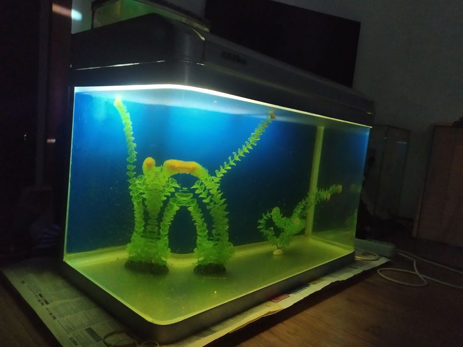 Заводской 156л JEBO.