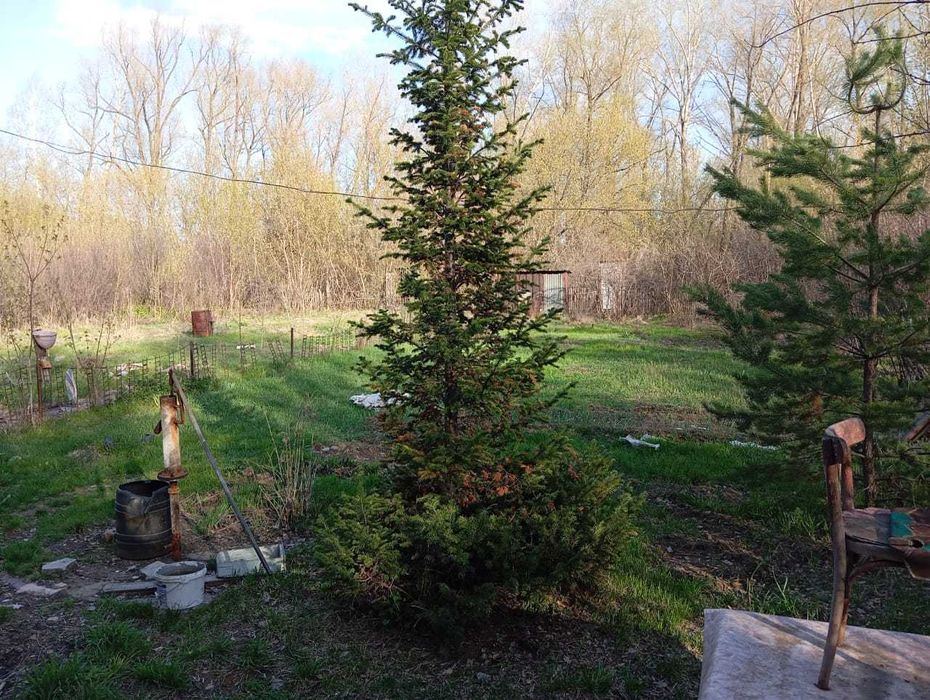 Продам дачу недорого