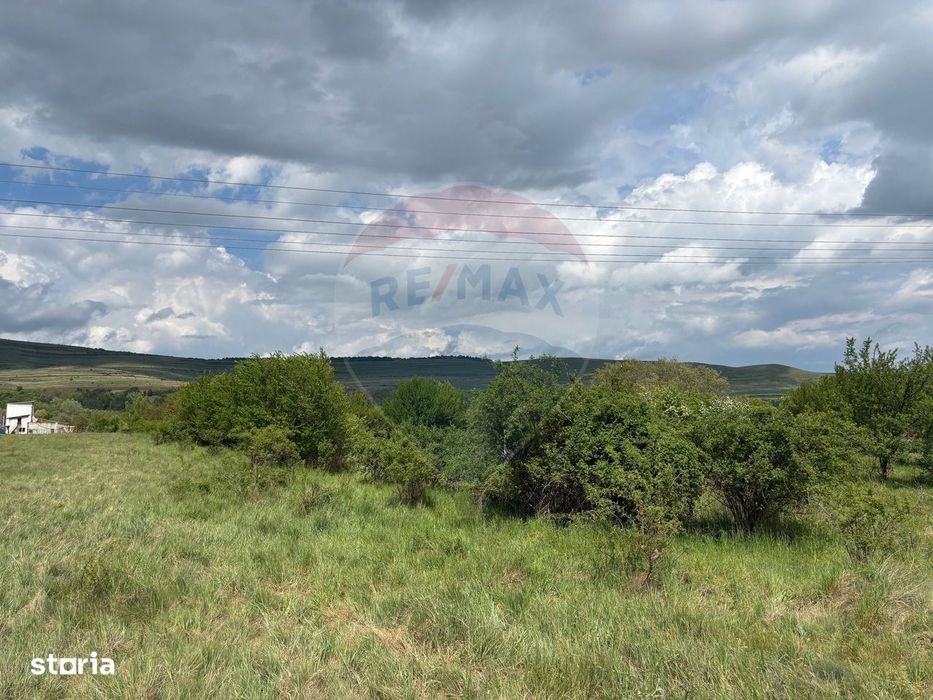 Teren de vanzare 13783mp, front la DN, parcela unica zona de vest