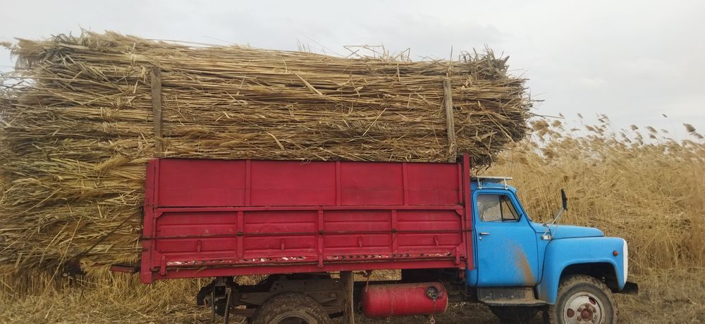 Қамыс 260 даставка