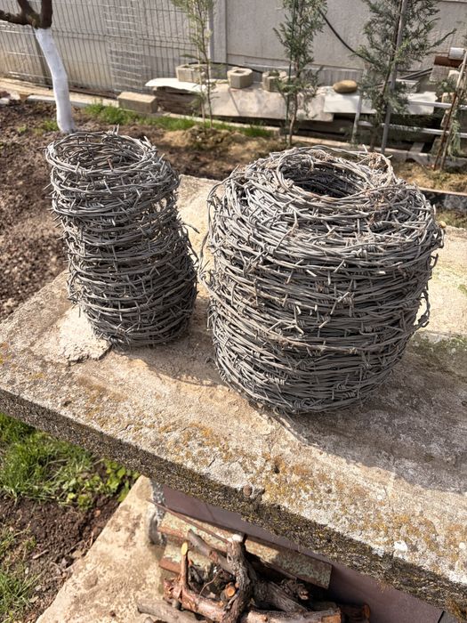 Se vinde sarma ghimpata