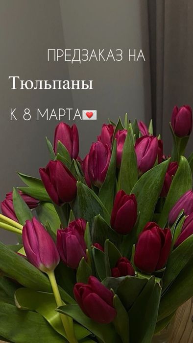 Предзаказ на тюльпаны